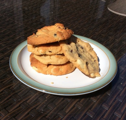 Peanut butter and berry cookies