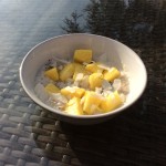 Pina Colada Porridge