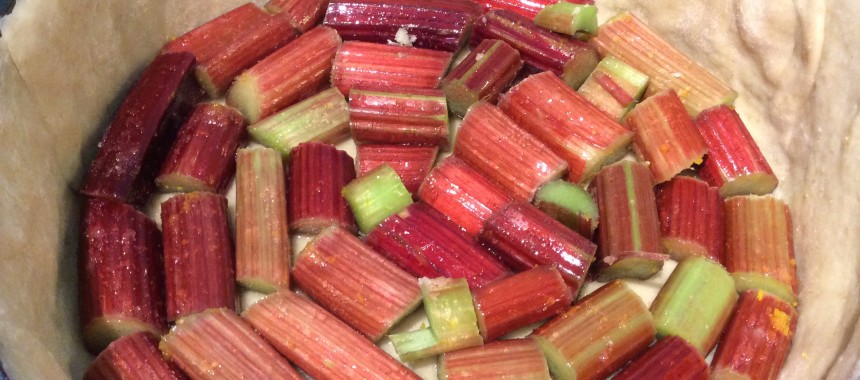 Rhubarb and Custard Cake