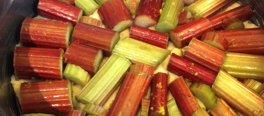 Rhubarb Crumble Cake