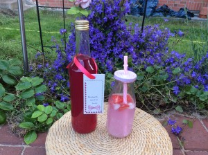 Rhubarb Cordial