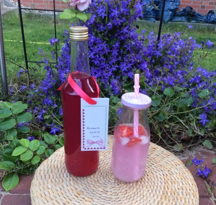 Rhubarb Cordial