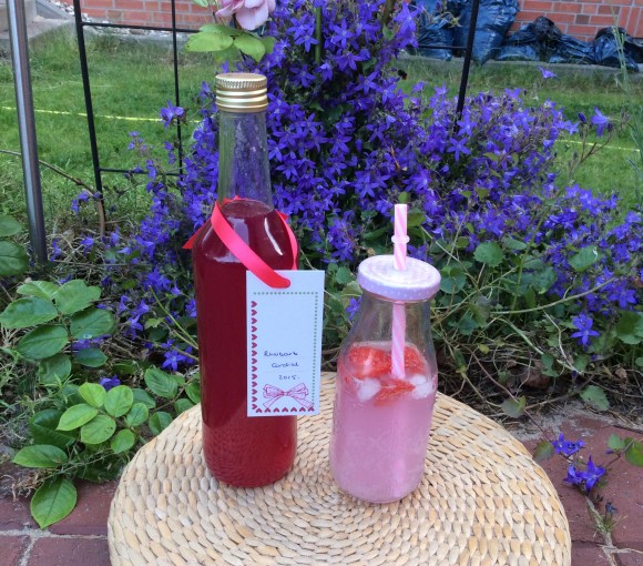 Rhubarb Cordial