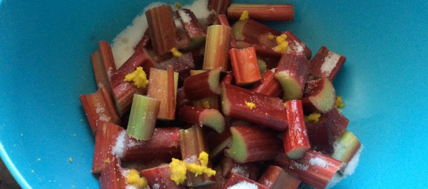 Rhubarb and Custard Cake