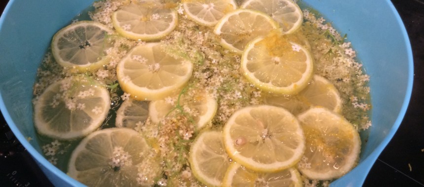 Elderflower Cordial