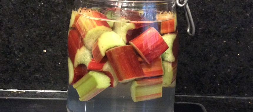 Rhubarb Vodka