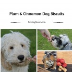 Plum and Cinnamon Dog Biscuits