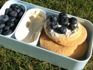 Blueberry Shortbread Cheesecake