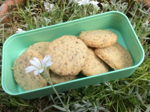 Hazelnut shortbread