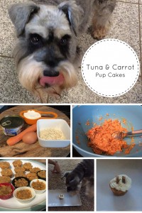 Tuna and Carrot Pup Cakes 2
