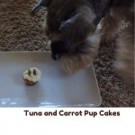 Tuna and Carrot Pup Cakes