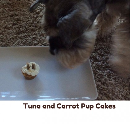 Tuna and Carrot Pup Cakes 3