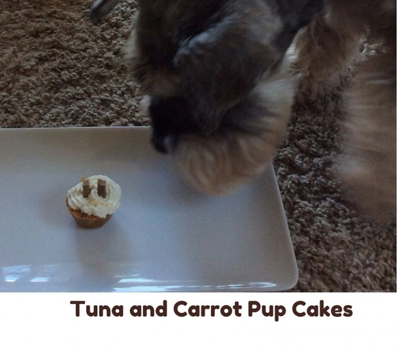 Tuna and Carrot Pup Cakes 3