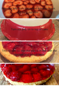 assemble jelly cake 2